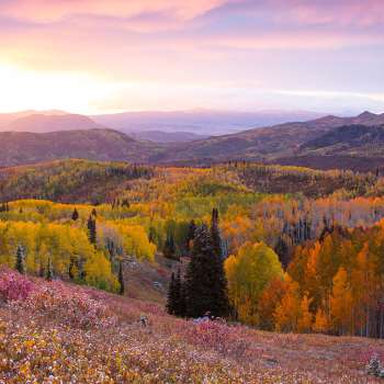 Fall