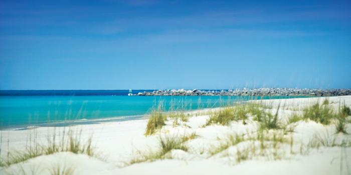 Discover Shell Island With Your Family