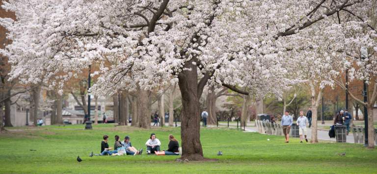 Spring Season Boston Experience The Flower Show In