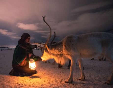 Reindeer and Northern Lights Adventure