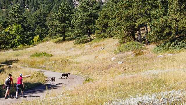 dog friendly hotels boulder co dog friendly hotels boulder co