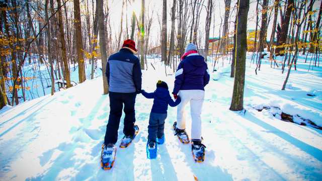 Winter Things To Do In Grand Rapids Winter Events Attractions