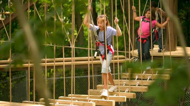 John Ball Zoo Things To Do In Grand Rapids Michigan Zoo Ropes