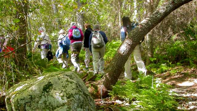 Hiking In Newport Ri Find Trails Walking Paths Area Preserves Hiking In Newport Ri Find Trails Walking Paths Area Preserves