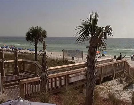 Live Webcams Of Panama City Beach Barefoot On The Beach