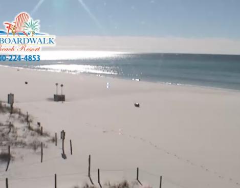 Live Webcams Of Panama City Beach Boardwalk Beach Resort