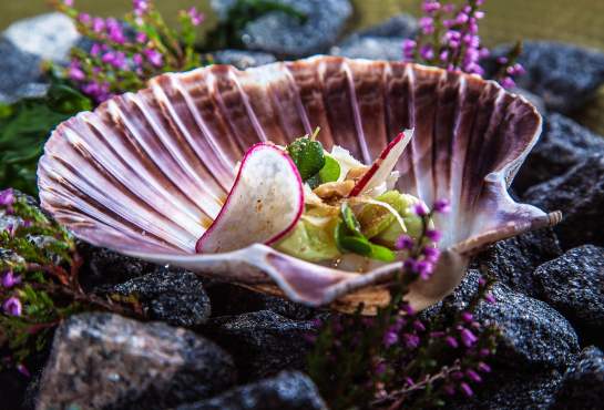 Taste Southern Norway Restaurants And Local Food Visit