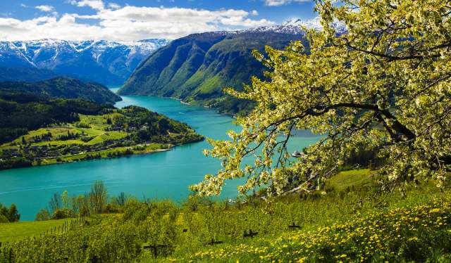 View of Hardanger in spring time