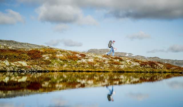En mann vandrer i Aurlandsdalen om høsten
