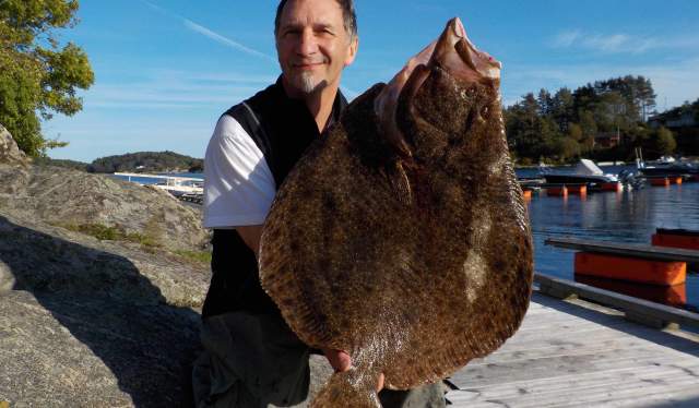 Big fish at Tregde Ferie in Southern Norway
