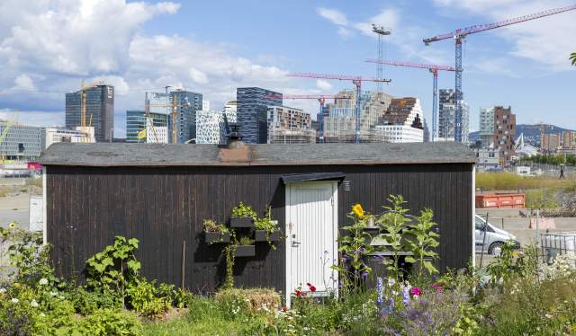 Losæter, Oslo