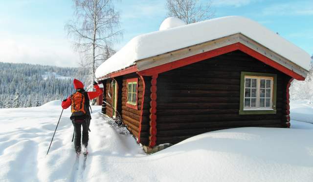 Skiing in the wild