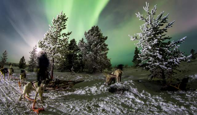 På jakt etter nordlyset med huskier