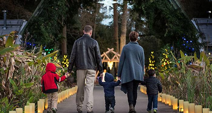 Where To See Holiday Lights In Southeast Texas