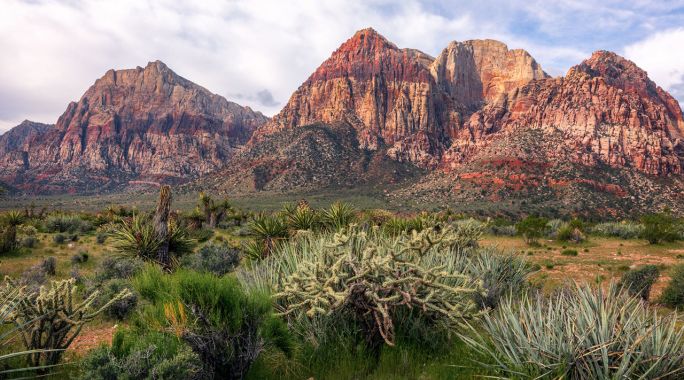 Red Rock Canyon