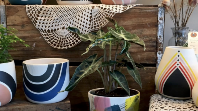Oakland Grown Gift Guide: Home For the Holidays