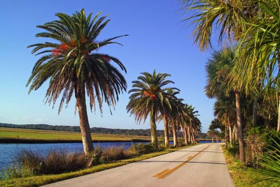 Soak In Incredible Sights Along The Ormond Beach Scenic Loop Experience Florida S Wild Side And Feel The Wind In Your Hair With A Ride Through Ormond Beach Scenic Loop This Picturesque Roadway Is Favorite Of