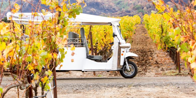 napa valley tour and transportation