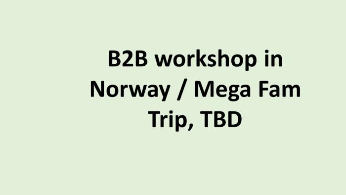 DE B2B workhop og Mega Fam