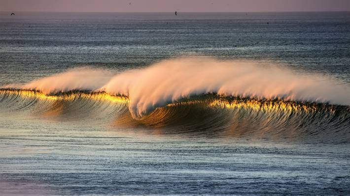 Fishing Spots In Huntington Beach