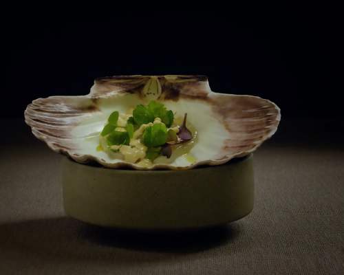 The Voices Of The New Nordic Cuisine Norwegian Star Chefs