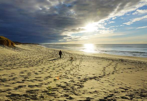 A person walking their dog on Orrestranda beach near Norwegian Scenic Route Jæren in Fjord Norway