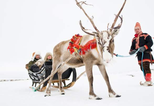 A couple in a sleigh pulled by a reindeer, held by a Sami man