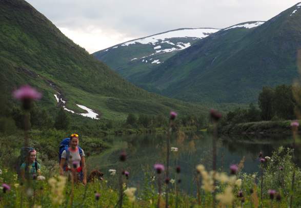 Saltfjellet–Svartisen