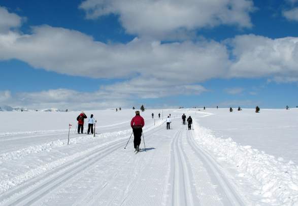 Gol, Hallingdal