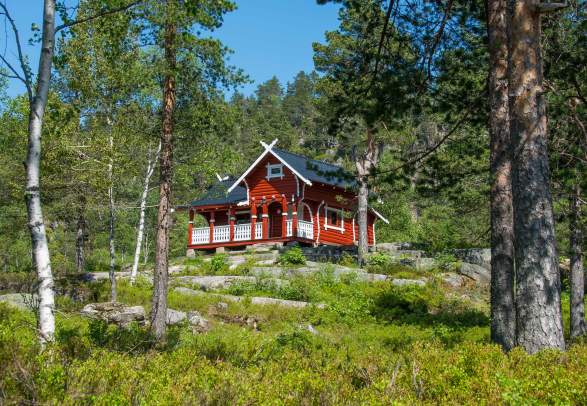 Goliaten, Finnemarka