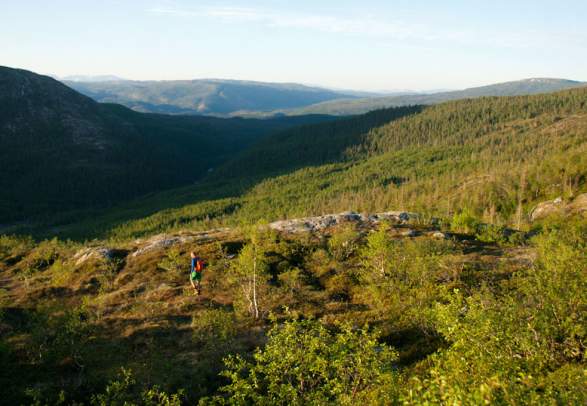 Lomsdal-Visten national park in Nordland, Northern Norway