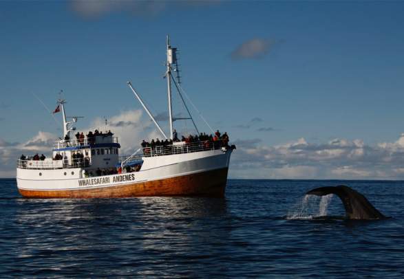 Andenes, Vesterålen