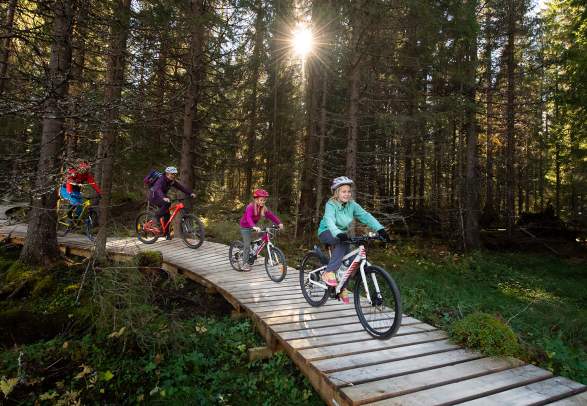 Een gezin van vier dat door de bossen rijd in de Trysil bike arena in Trysil, Oost-Noorwegen