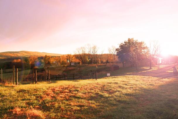 50 west autumn
