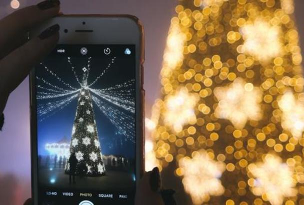 light tree