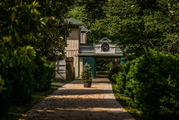 The gardens of Morven Park