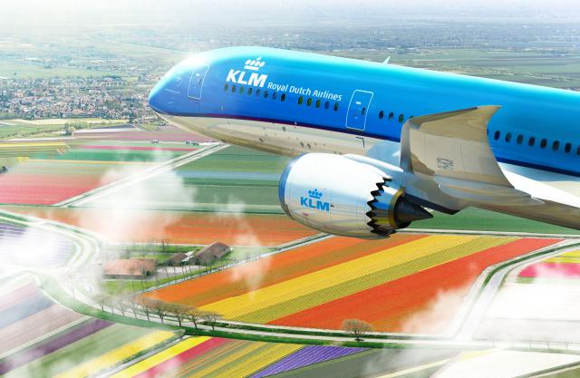 KLM airplane over tulip field