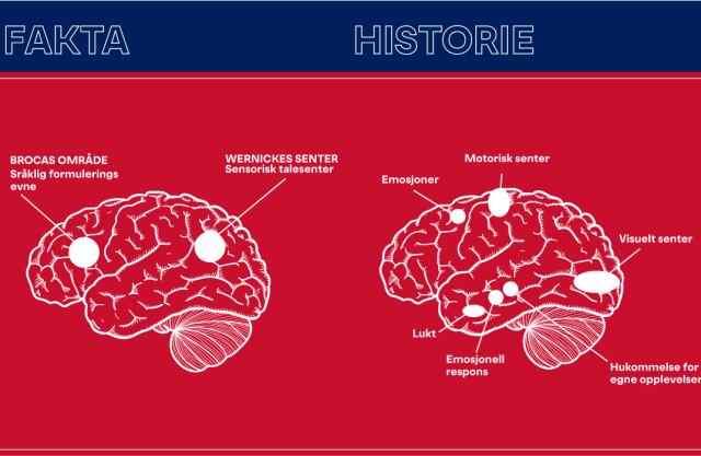 Flere deler av hjernen aktiveres av historier, enn av fakta.