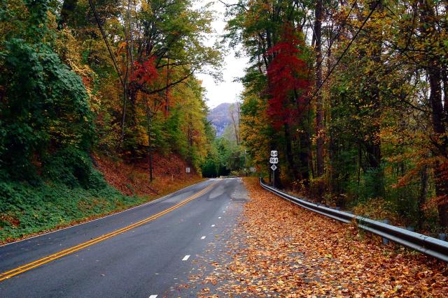 Driving Tour