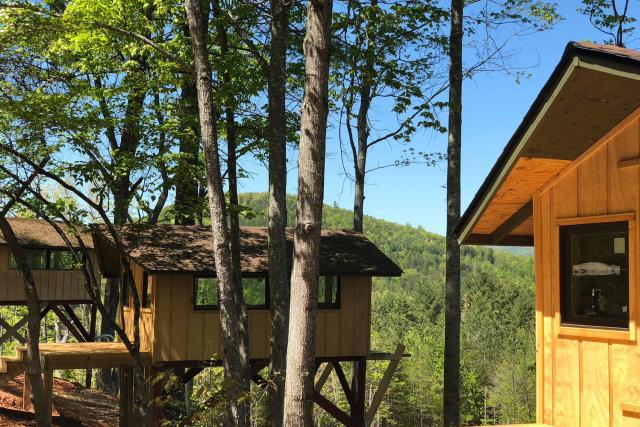Tree Top Cabins Yogi Bear Jellystone Resort