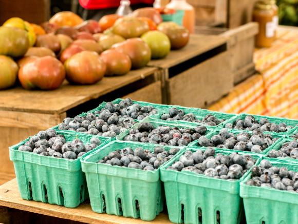 Things To Do In Newport This Week In Newport Ri Discover