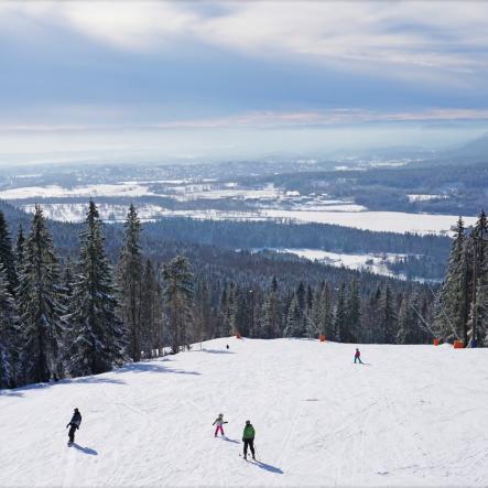 vinterpark