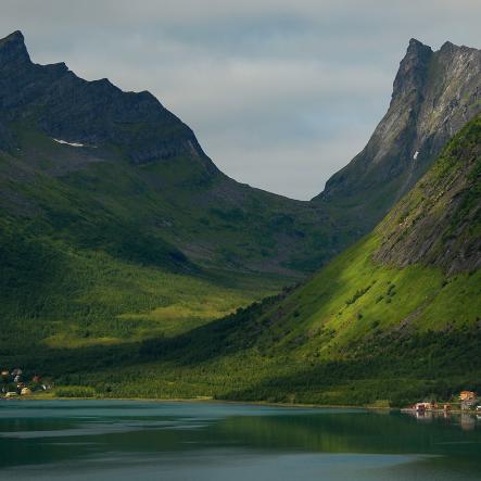 Senja