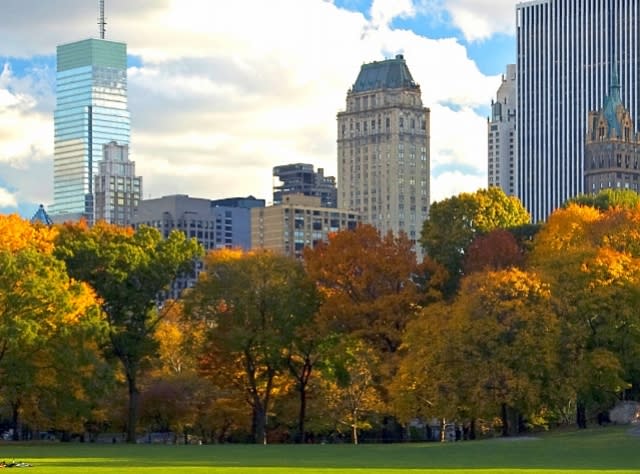 Fall Foliage in New York | Autumn Leaves, Scenic Drives