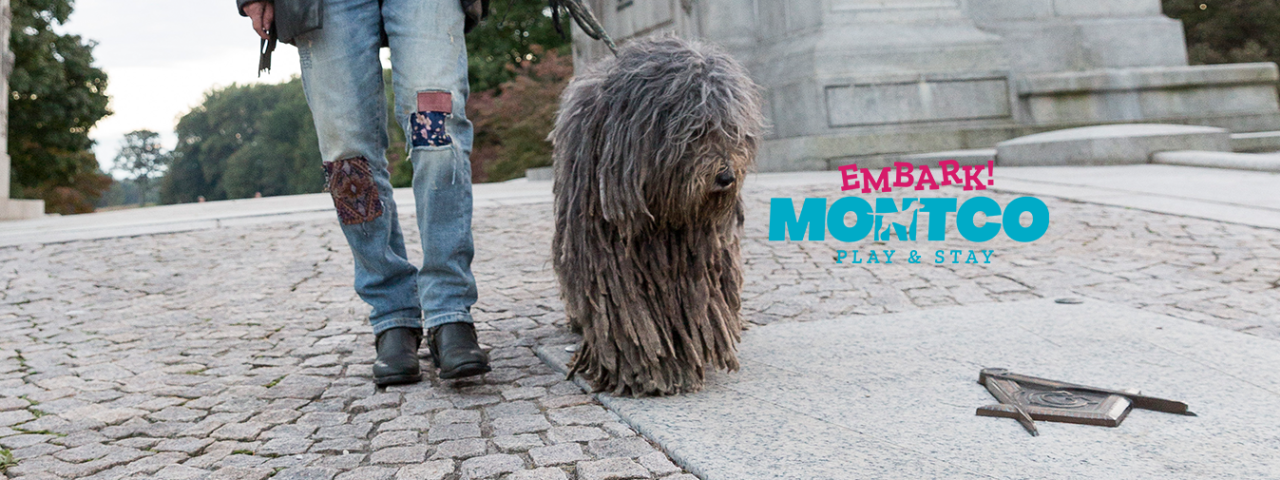 embark montco
