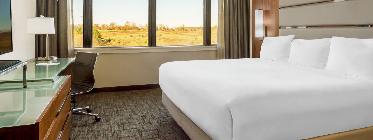 Valley Forge Casino Resort King Bedroom