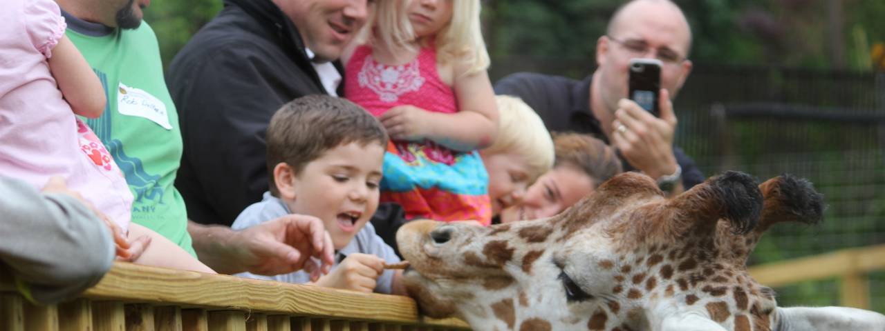 Elmwood Park Zoo Header