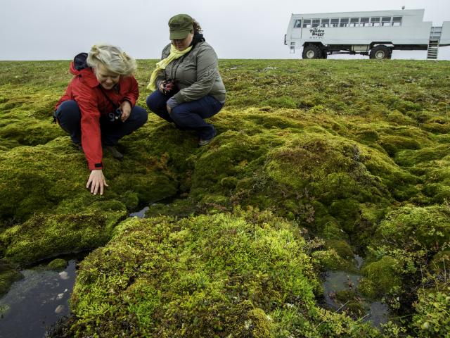 Frontiers North Adventure summer Tundra Buggy Excursion