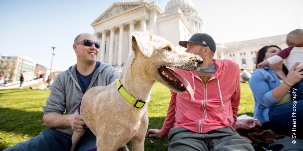 Pets on Capitol Square