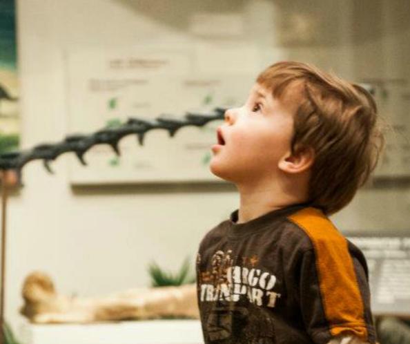 Museum of Natural History at UWSP